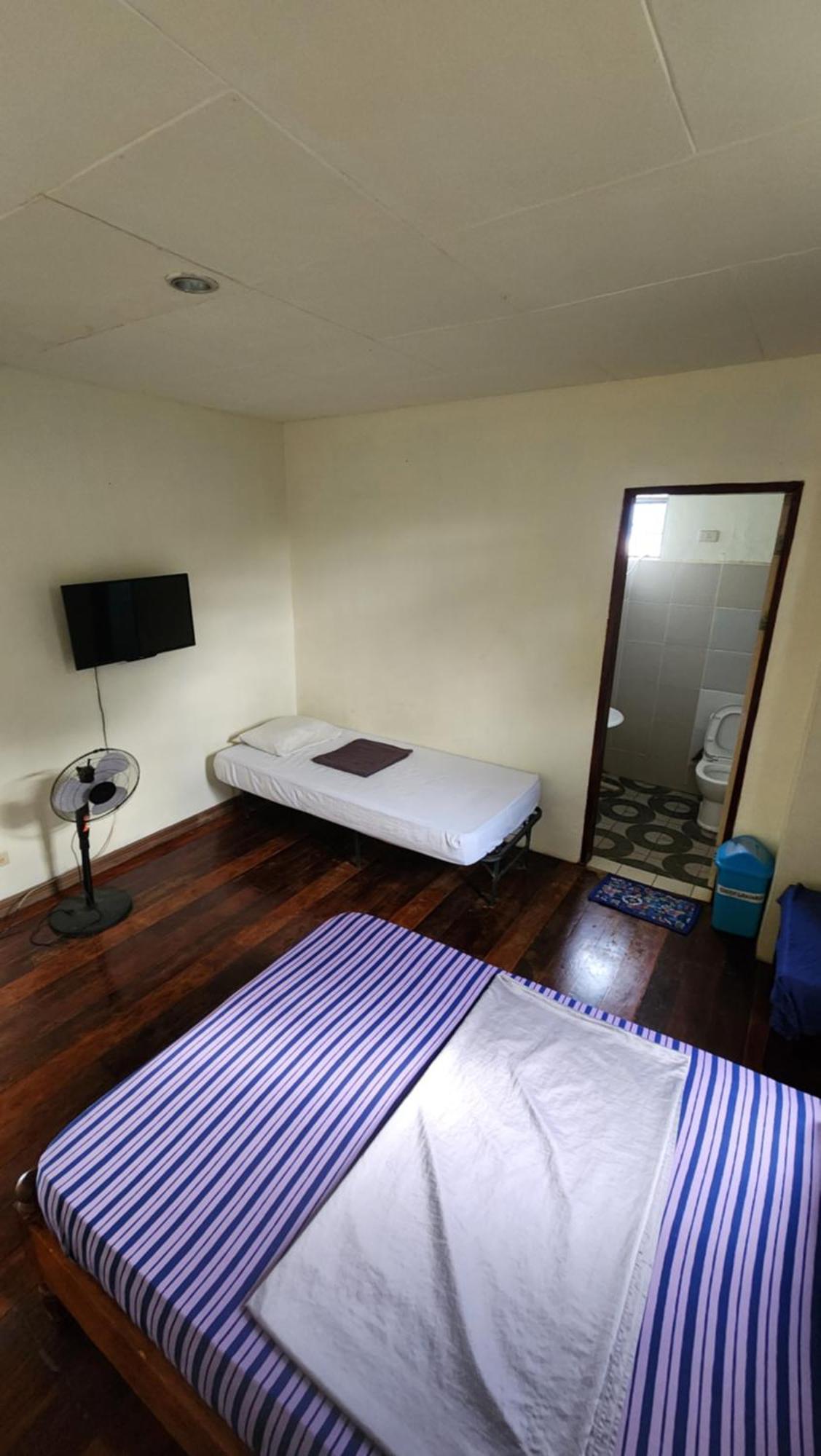 Screaming Gecko Hostel Бусуанга Екстериор снимка