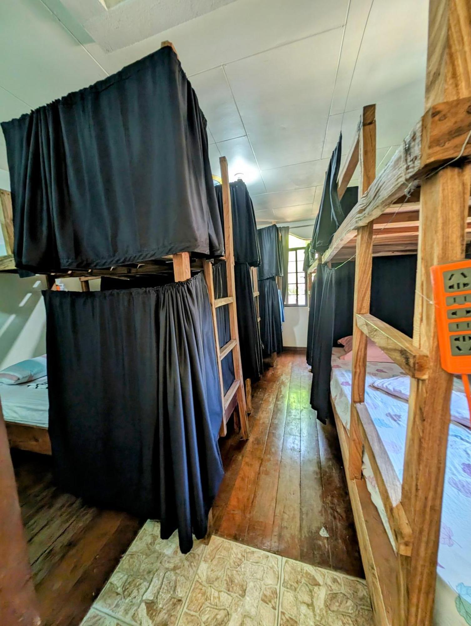 Screaming Gecko Hostel Бусуанга Екстериор снимка